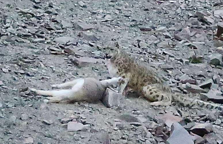 Onları siz de göremeyeceksiniz! galerisi resim 16