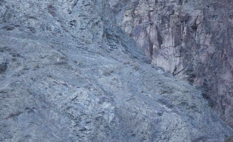 Onları siz de göremeyeceksiniz! galerisi resim 17