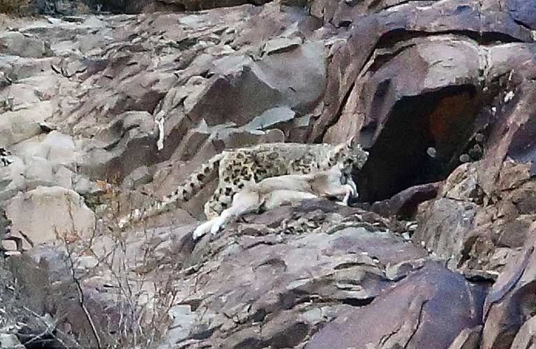 Onları siz de göremeyeceksiniz! galerisi resim 18