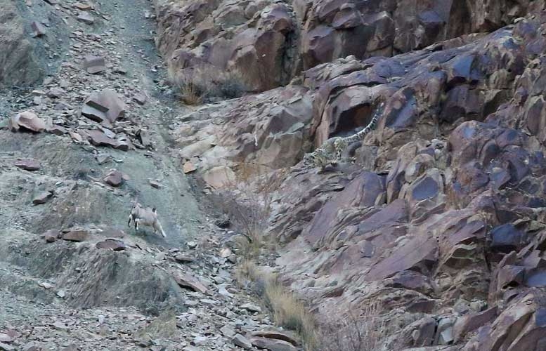 Onları siz de göremeyeceksiniz! galerisi resim 2