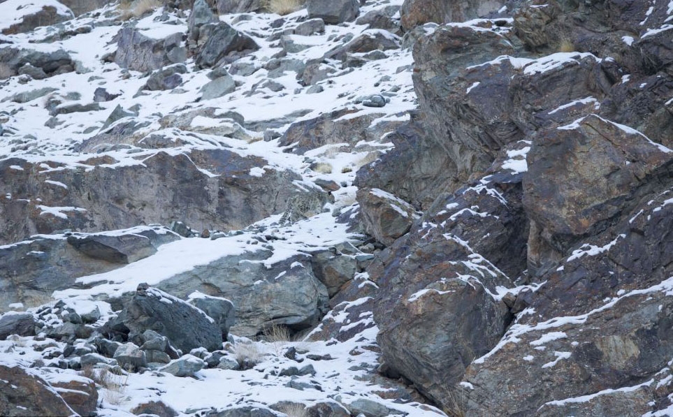 Onları siz de göremeyeceksiniz! galerisi resim 20