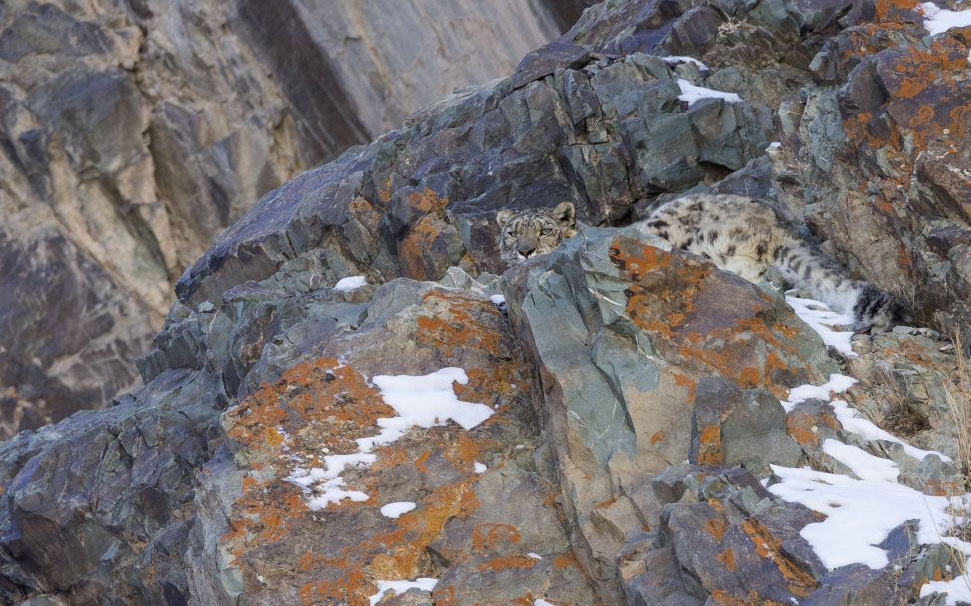 Onları siz de göremeyeceksiniz! galerisi resim 21