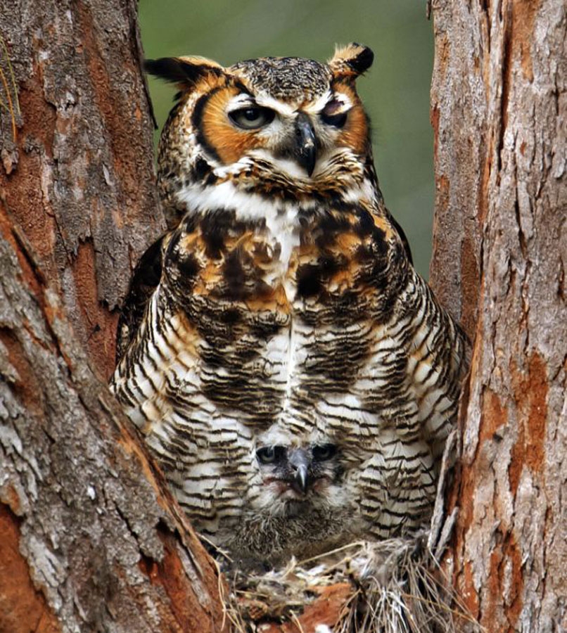 Onları siz de göremeyeceksiniz! galerisi resim 22