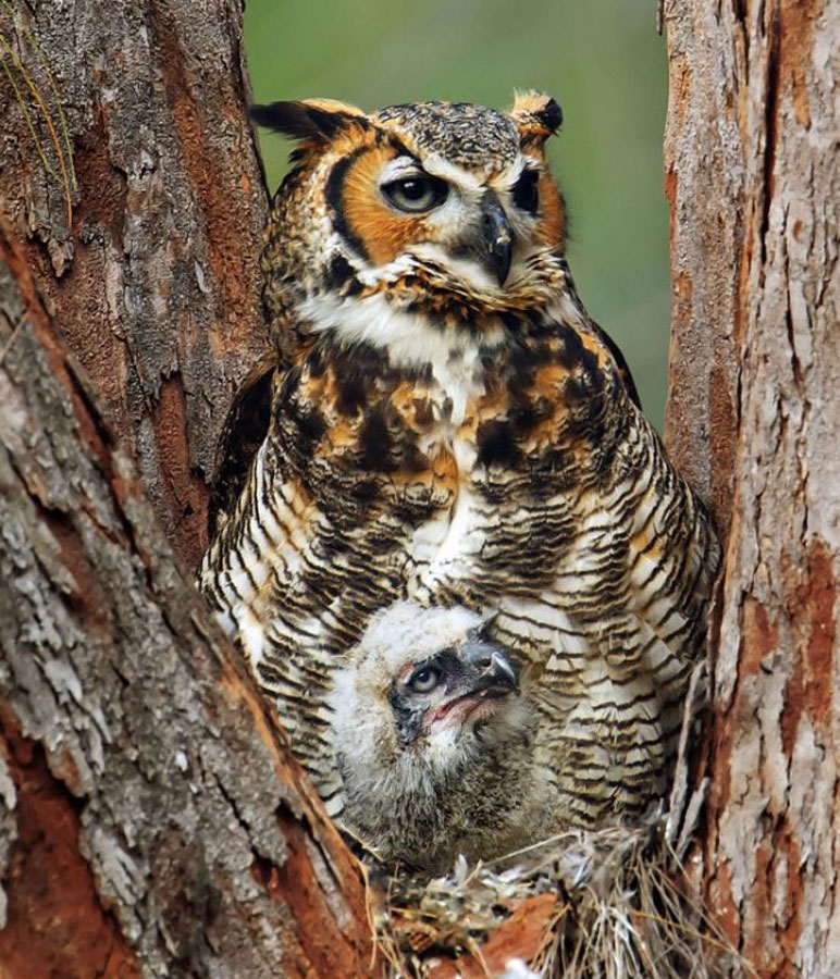 Onları siz de göremeyeceksiniz! galerisi resim 23