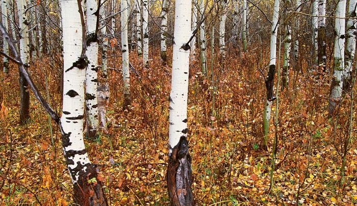 Onları siz de göremeyeceksiniz! galerisi resim 26