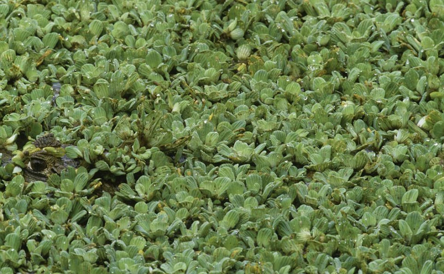 Onları siz de göremeyeceksiniz! galerisi resim 27