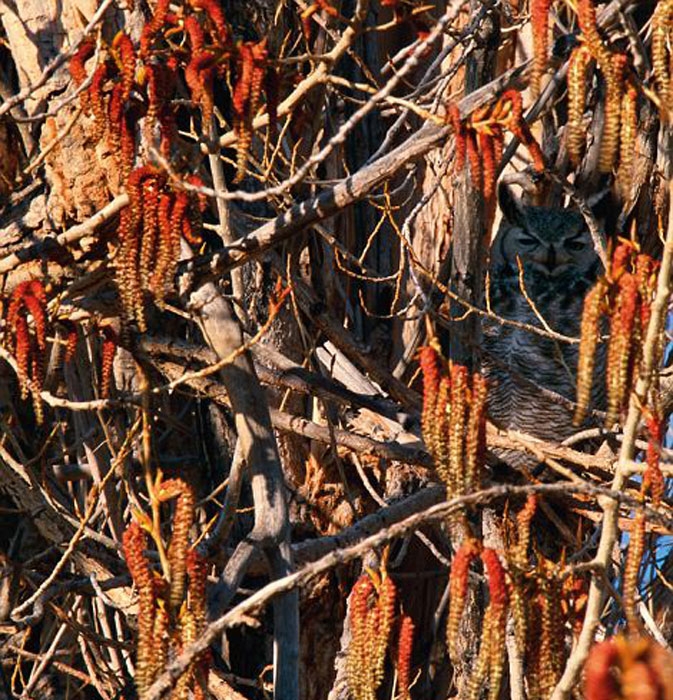 Onları siz de göremeyeceksiniz! galerisi resim 29