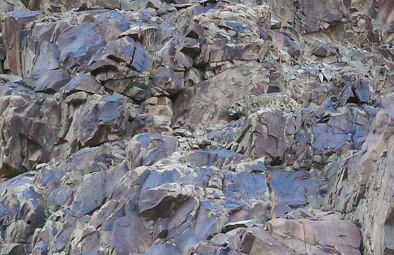 Onları siz de göremeyeceksiniz! galerisi resim 3