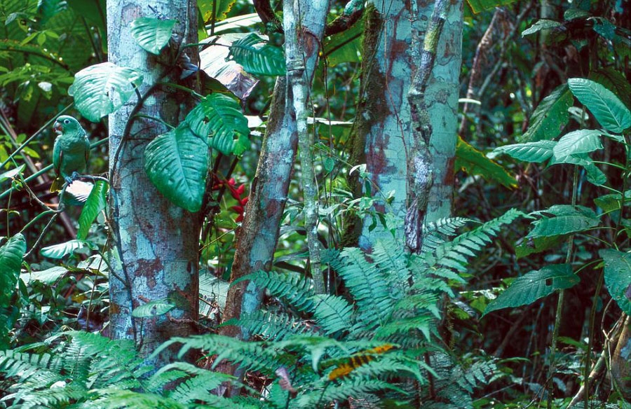 Onları siz de göremeyeceksiniz! galerisi resim 30