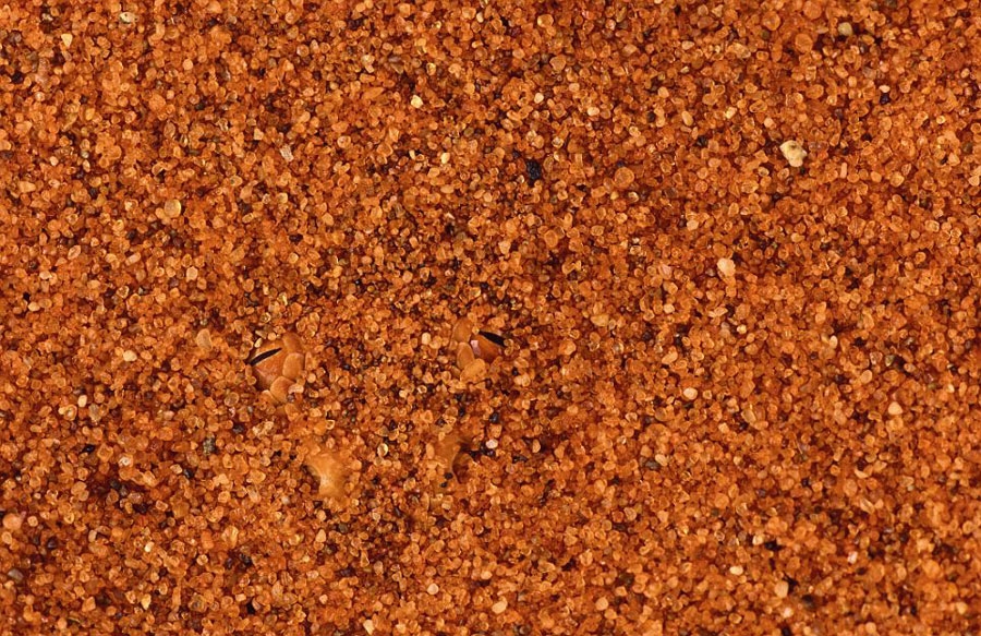 Onları siz de göremeyeceksiniz! galerisi resim 31