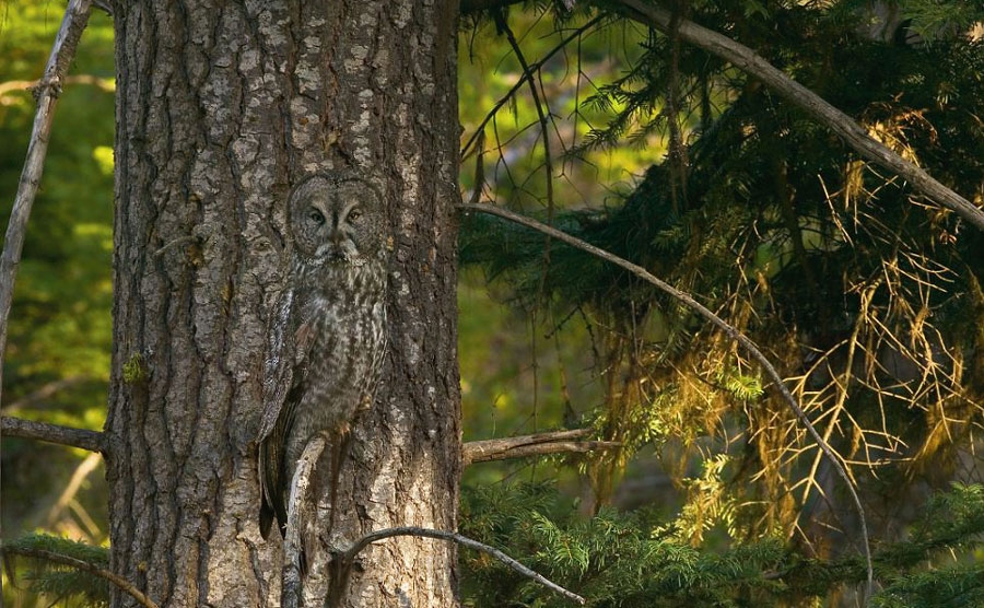 Onları siz de göremeyeceksiniz! galerisi resim 34