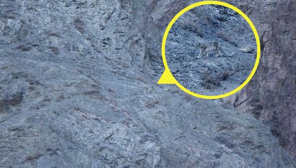 Onları siz de göremeyeceksiniz! galerisi resim 4