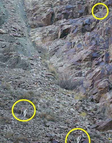 Onları siz de göremeyeceksiniz! galerisi resim 5