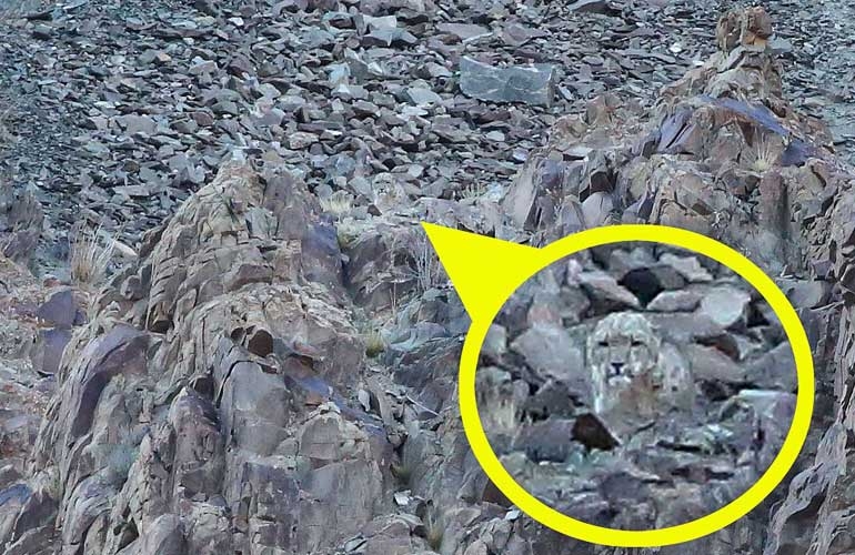 Onları siz de göremeyeceksiniz! galerisi resim 6