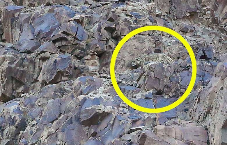 Onları siz de göremeyeceksiniz! galerisi resim 7