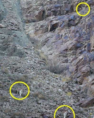 Onları siz de göremeyeceksiniz! galerisi resim 8