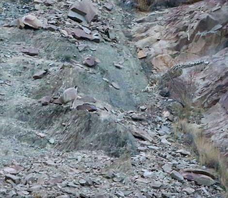 Onları siz de göremeyeceksiniz! galerisi resim 9