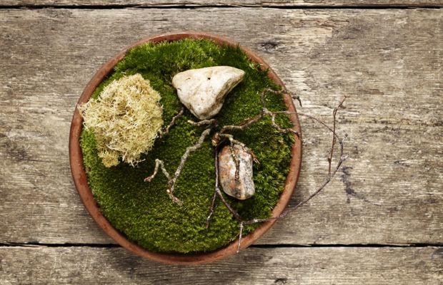 Dünyanın en iyi 30 restoranı galerisi resim 30