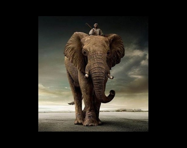 Tarihin en sıradışı deneyleri galerisi resim 11