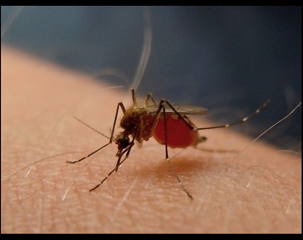 Tarihin en sıradışı deneyleri galerisi resim 4