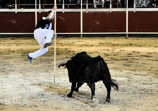 Ölüme meydan okuyorlar! galerisi resim 12