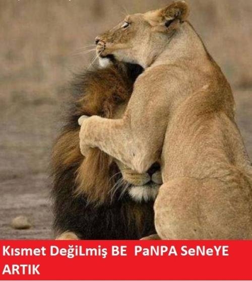 Sosyal medyayı sallayan şampiyonluk capsleri galerisi resim 20