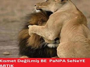 Sosyal medyayı sallayan şampiyonluk capsleri