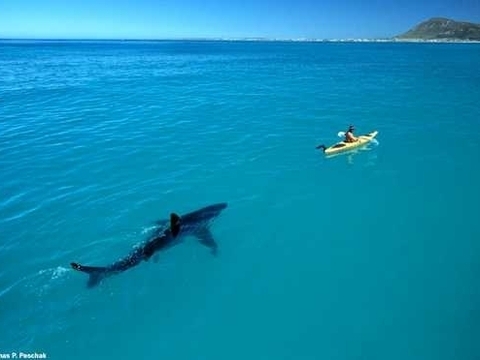 Şaşkına çeviren 20 gerçek fotoğraf galerisi resim 1