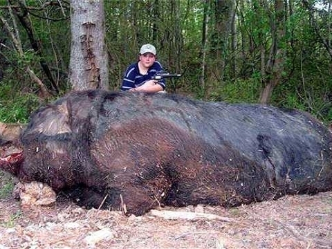 Şaşkına çeviren 20 gerçek fotoğraf galerisi resim 16