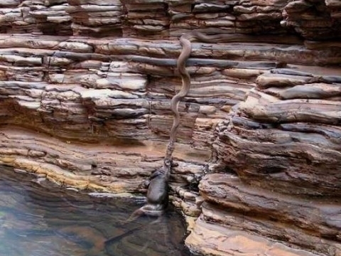 Şaşkına çeviren 20 gerçek fotoğraf galerisi resim 5