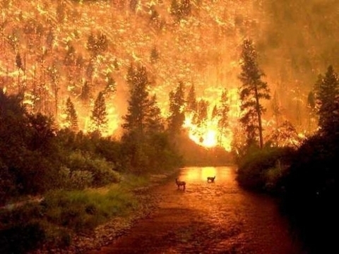 Şaşkına çeviren 20 gerçek fotoğraf galerisi resim 6