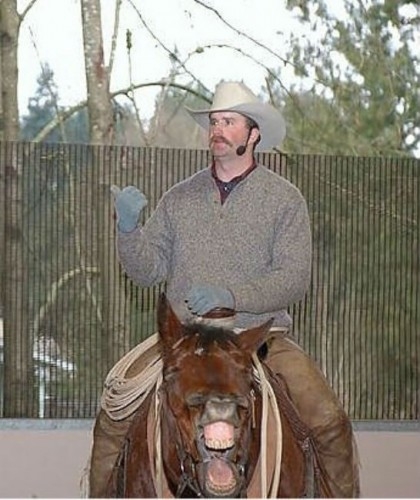 Fotograf meraklısı atlar galerisi resim 1