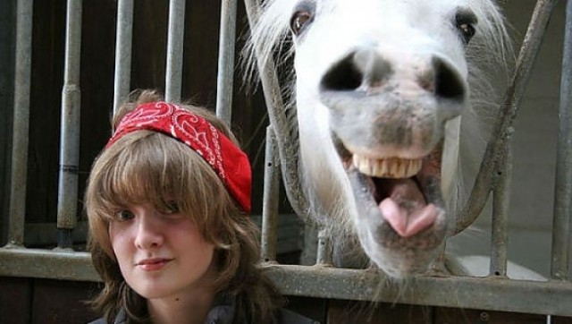 Fotograf meraklısı atlar galerisi resim 2