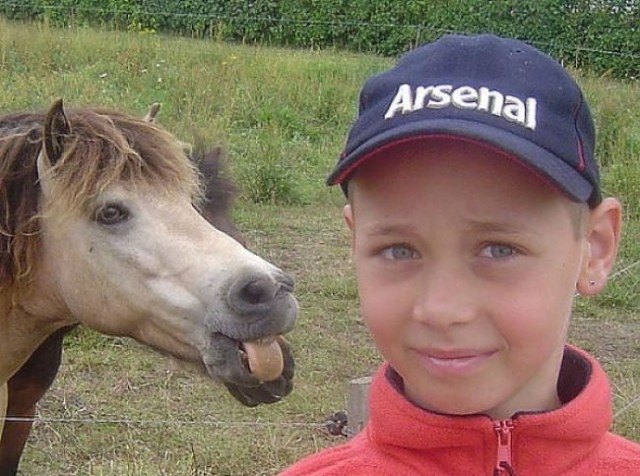 Fotograf meraklısı atlar galerisi resim 4