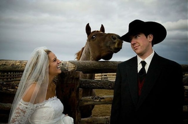 Fotograf meraklısı atlar galerisi resim 6