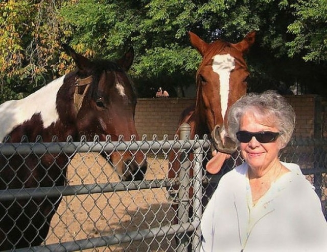 Fotograf meraklısı atlar galerisi resim 9