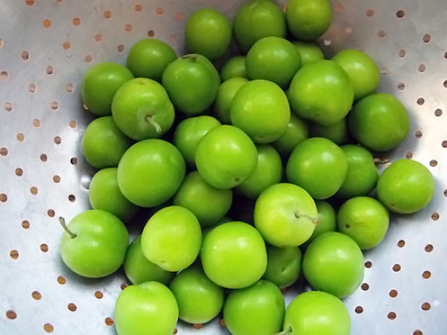 Yeşil eriğin faydaları galerisi resim 6