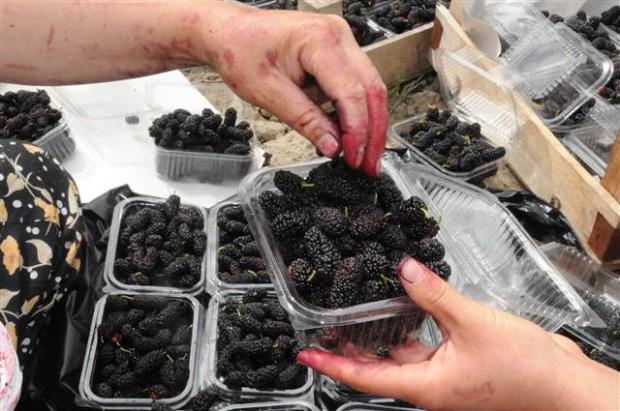 Dut toplarken koluna demir saplandı galerisi resim 5