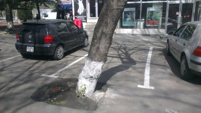 Pes dedirten hatalar galerisi resim 1