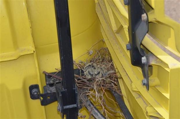 TIR'ına yuva yapan kuşun yuvasını bozmadı galerisi resim 3