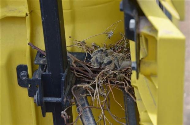 TIR'ına yuva yapan kuşun yuvasını bozmadı galerisi resim 6