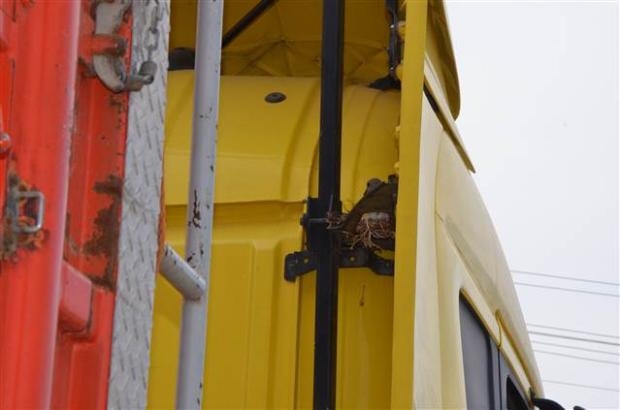 TIR'ına yuva yapan kuşun yuvasını bozmadı galerisi resim 7