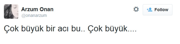 Ünlü isimlerden Soma faciası tweetleri galerisi resim 1