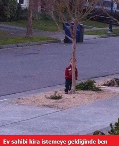 En yaratıcı caps'ler galerisi resim 15