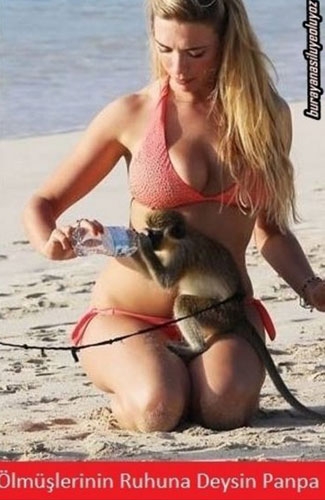 En yaratıcı caps'ler galerisi resim 3