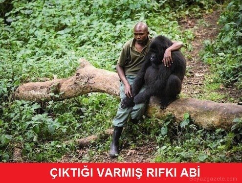 En yaratıcı caps'ler galerisi resim 33