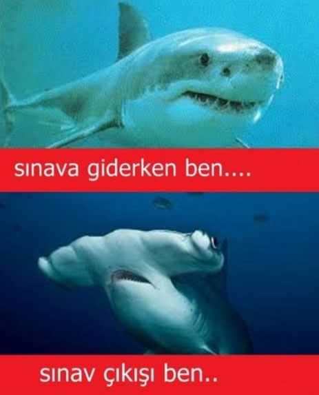 En yaratıcı caps'ler galerisi resim 7