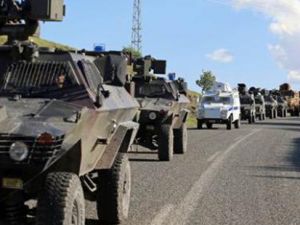 Diyarbakır'da kirpi eşliğinde seyahat