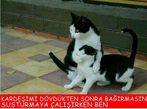 En iyi capsler galerisi resim 17