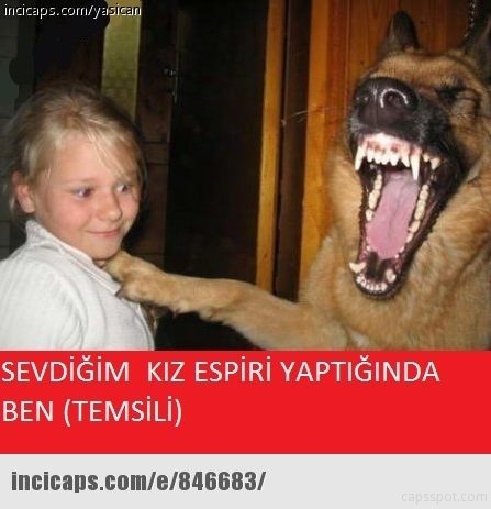 En iyi capsler galerisi resim 27